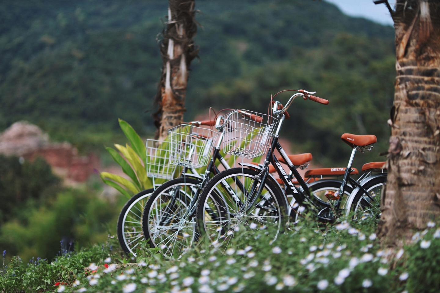 Complimentary Bicycles